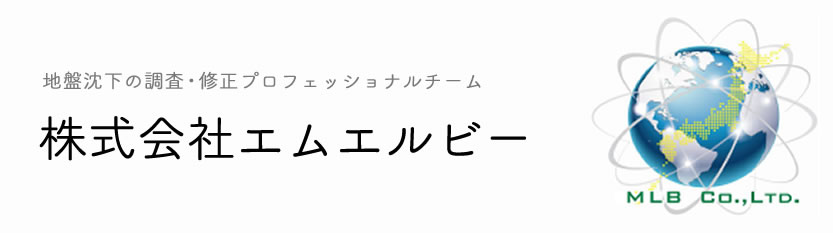 株式会社エムエルビー